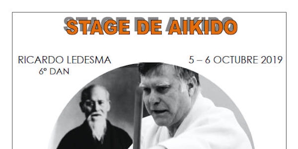 Curs d'Aikido